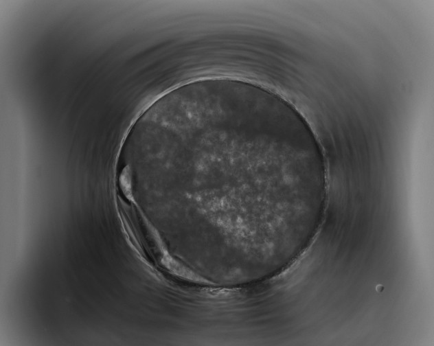 X0000092271529200710121331