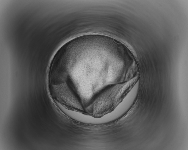 X0000092271530200710121331