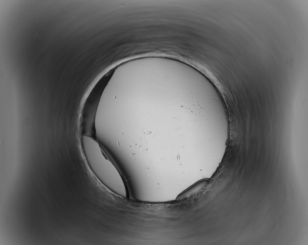 X0000092271532200710121331