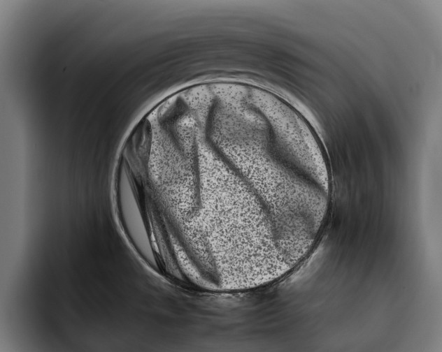 X0000092271533200710121331
