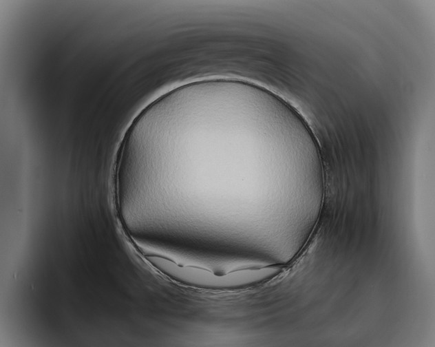 X0000092271534200710121331