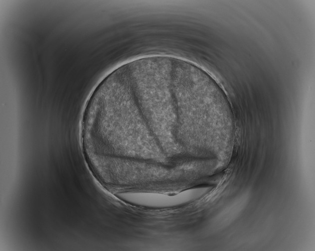 X0000092271535200710121331
