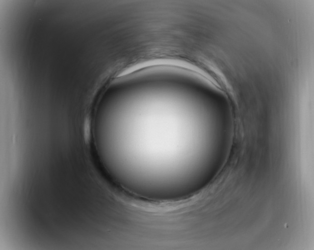 X0000092280019200709140931