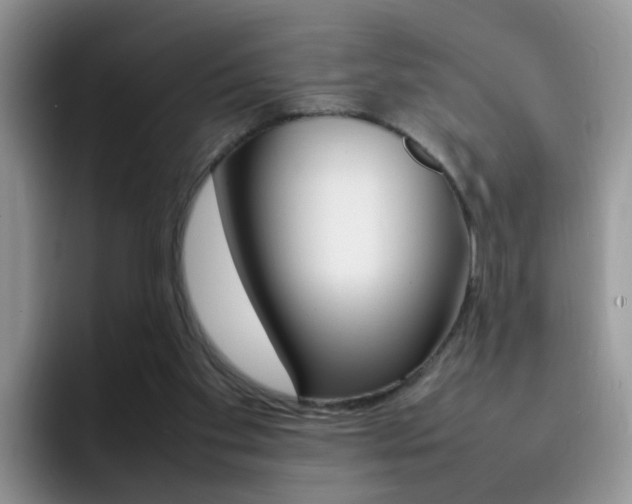 X0000092280109200709140929