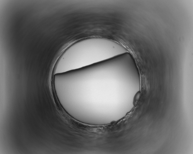 X0000092280147200709140929