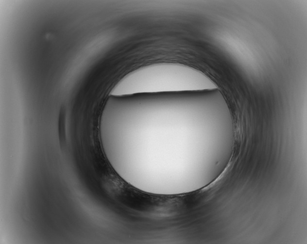 X0000092280191200709140929