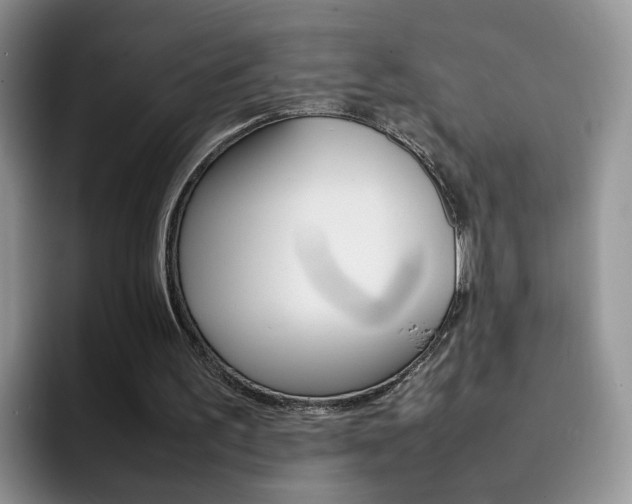 X0000092280195200709140928