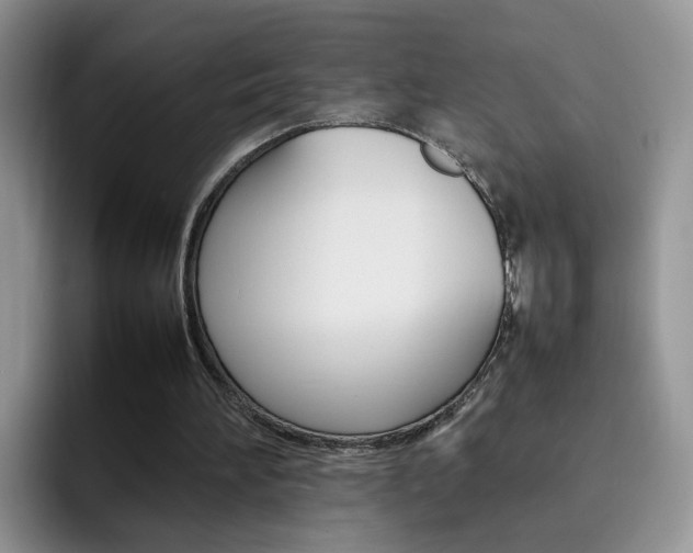 X0000092280196200709140928