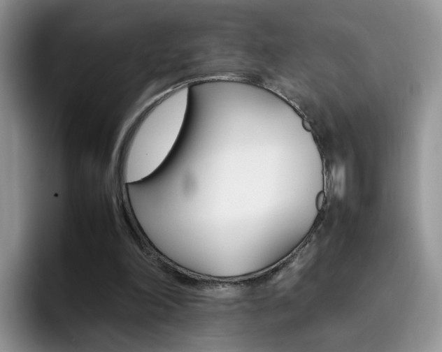 X0000092280198200709140928