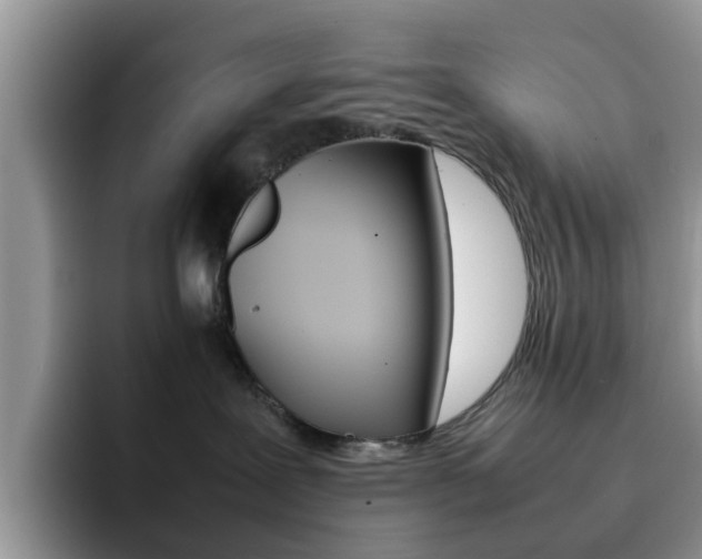 X0000092280239200709140928