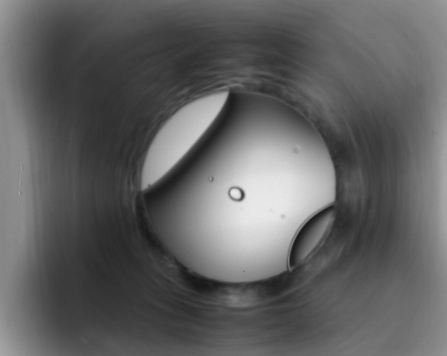 X0000092280275200709140928