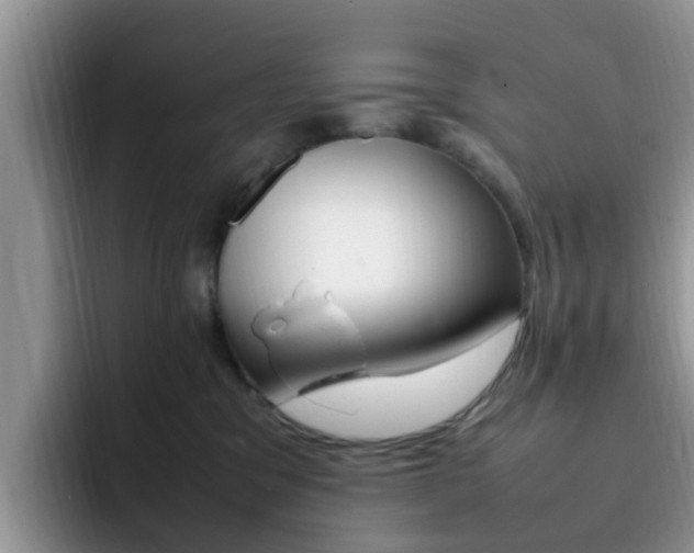 X0000092280329200709140927