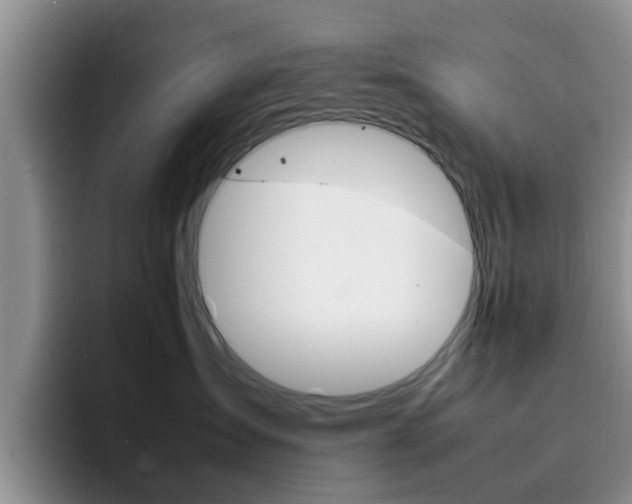 X0000092280431200709140926