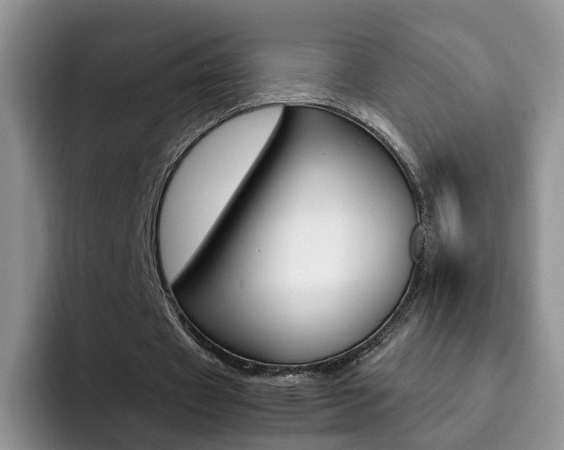 X0000092280433200709140925