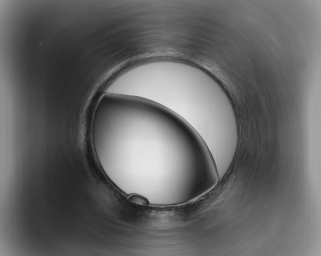 X0000092280440200709140925