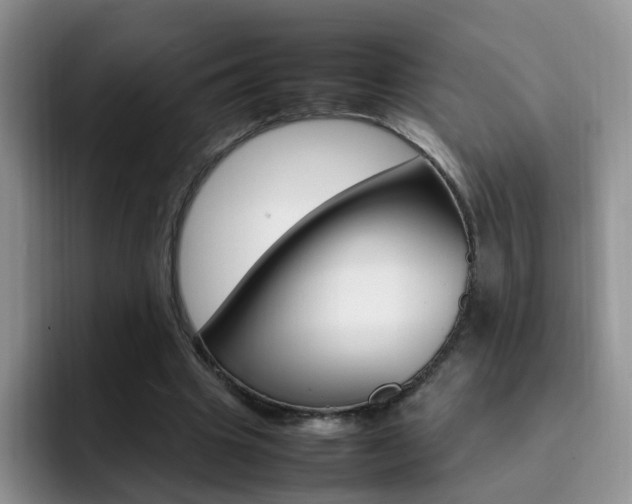 X0000092280441200709140925