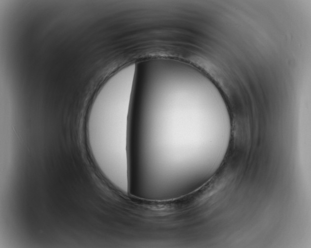 X0000092280445200709140925