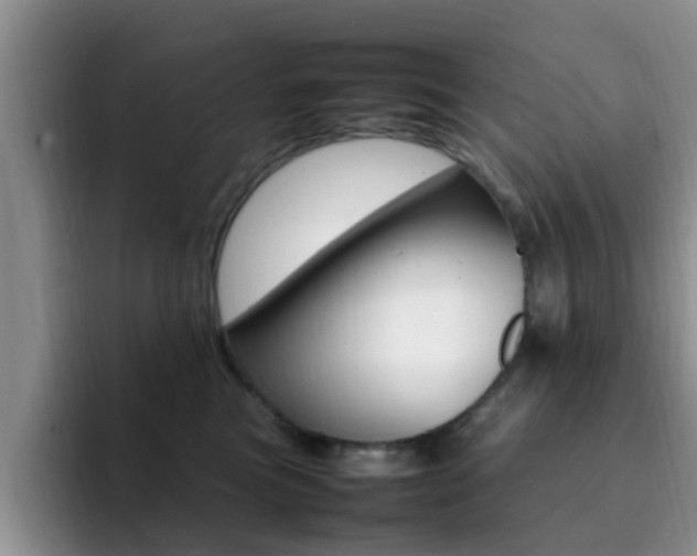 X0000092280473200709140926