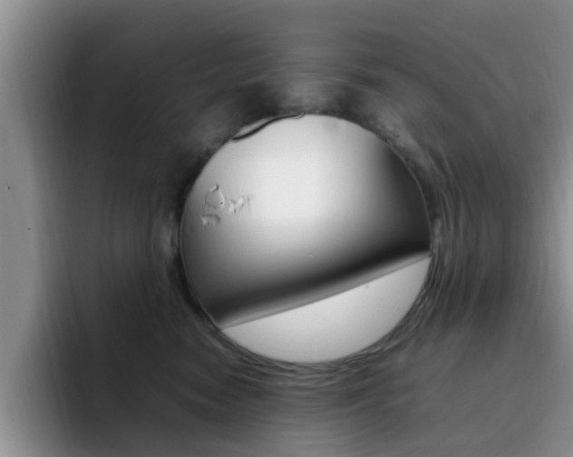 X0000092280474200709140926