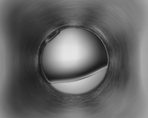 X0000092280484200709140925