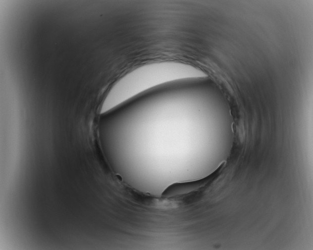 X0000092280520200709140925