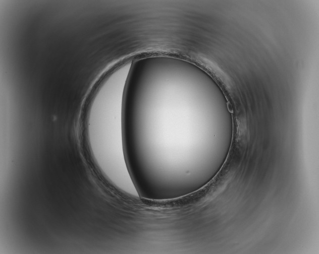 X0000092280580200709140924