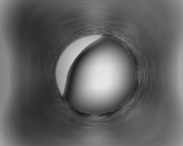 X0000092280613200709140923