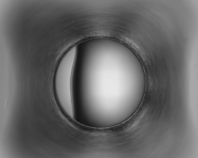 X0000092280625200709140923