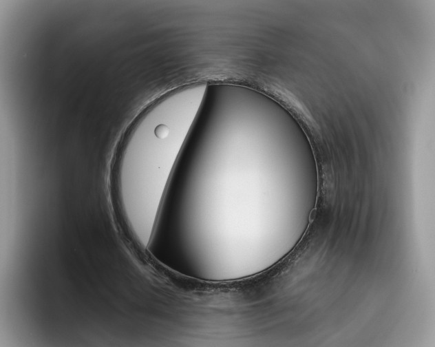 X0000092280626200709140923