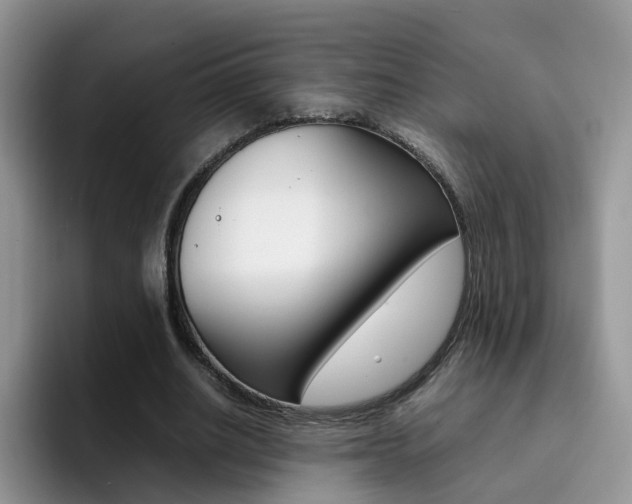 X0000092280630200709140923