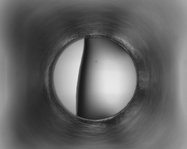 X0000092280631200709140923