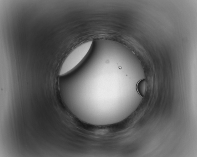 X0000092280653200709140923