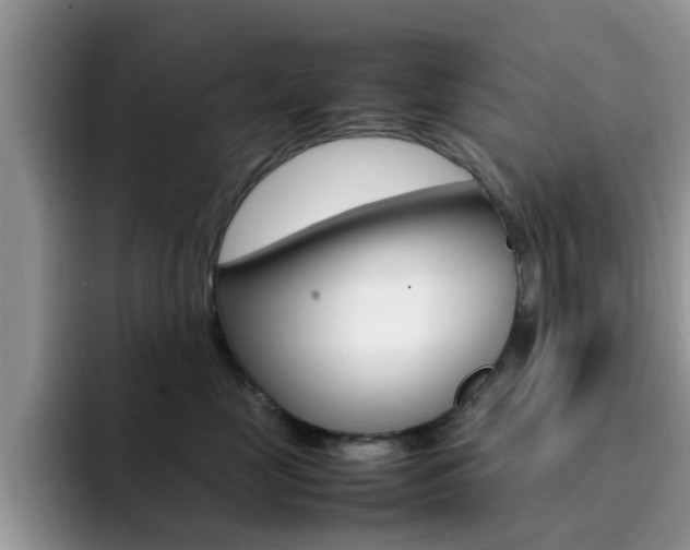 X0000092280669200709140923