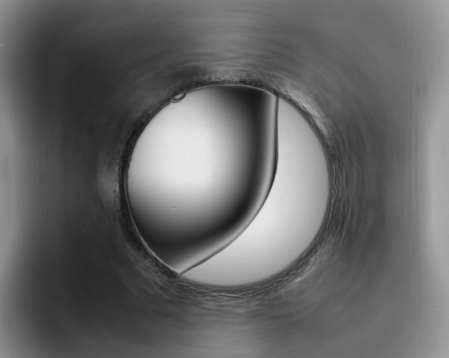 X0000092280681200709140923