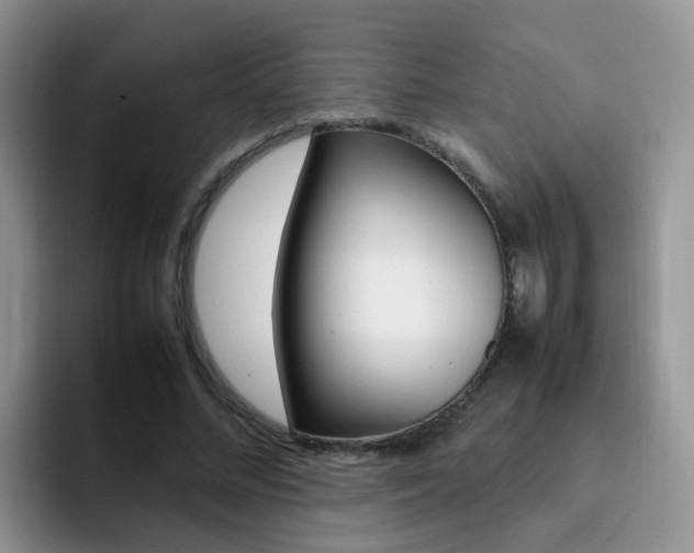 X0000092280684200709140923