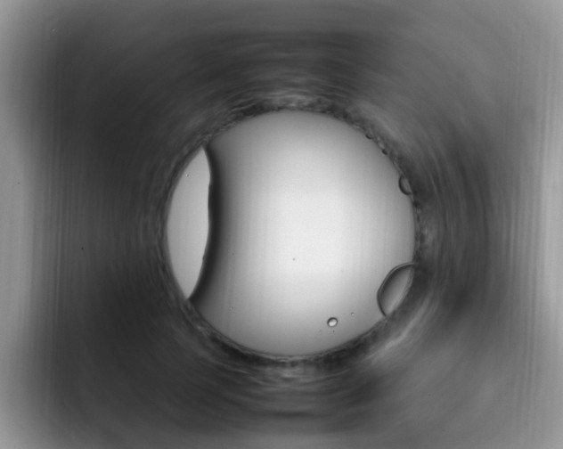 X0000092280745200709140922