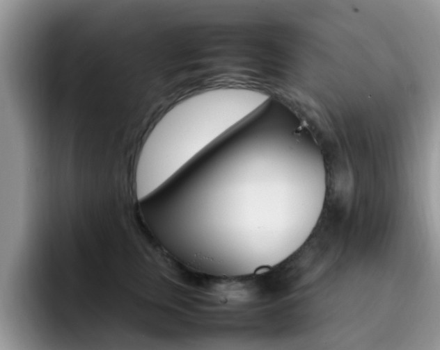 X0000092280759200709140922
