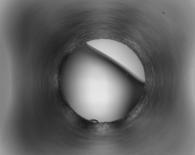 X0000092280762200709140922