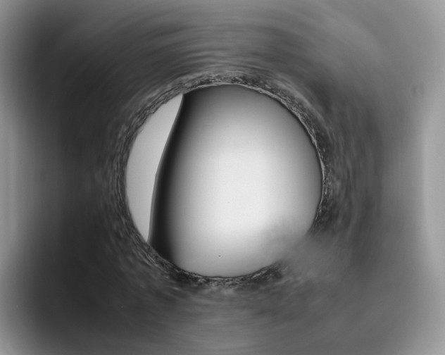 X0000092280773200709140922