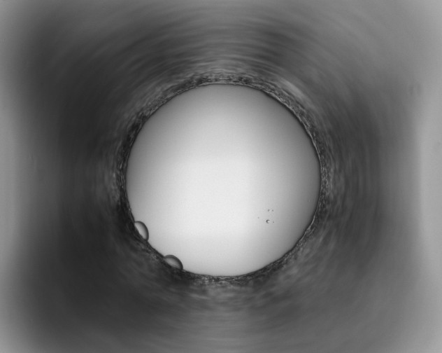 X0000092280774200709140922