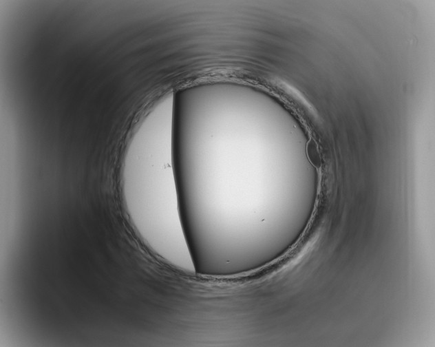 X0000092280777200709140922