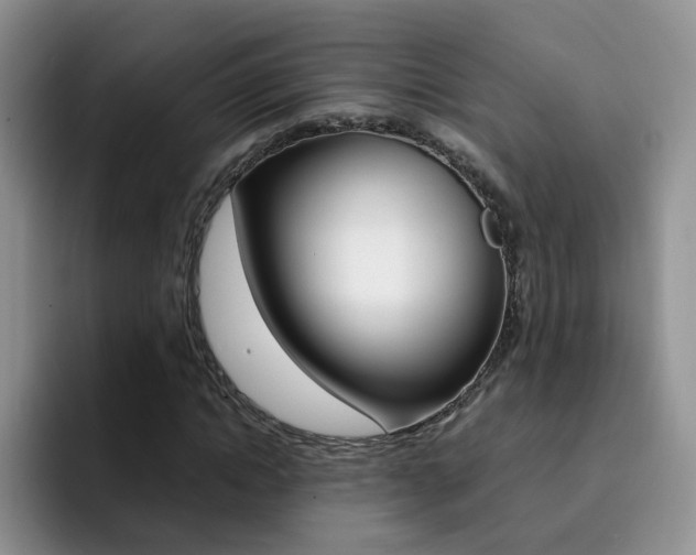 X0000092280822200709140921