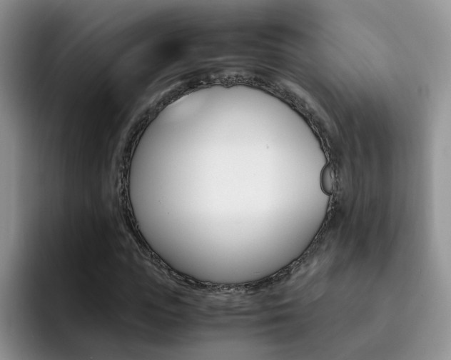 X0000092280823200709140921