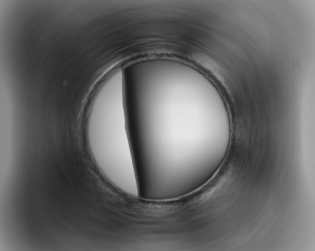 X0000092280829200709140921