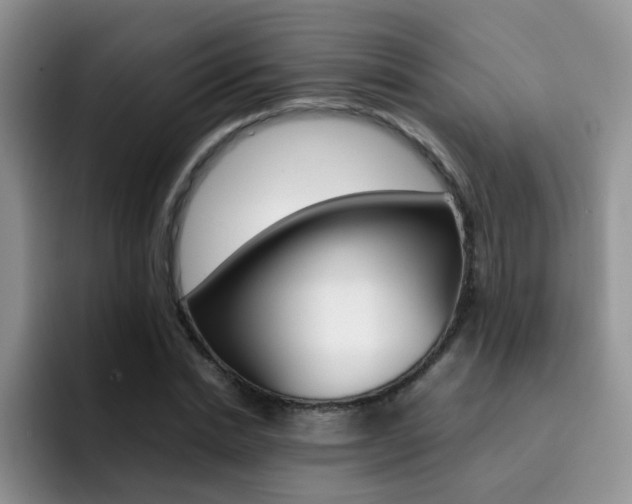 X0000092280830200709140921