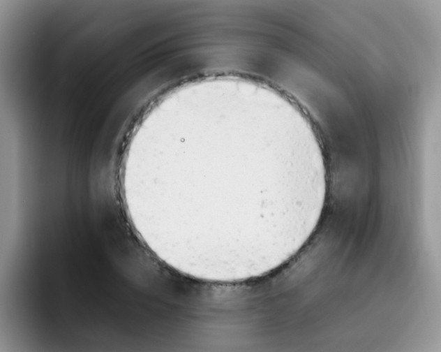 X0000092280832200709140921