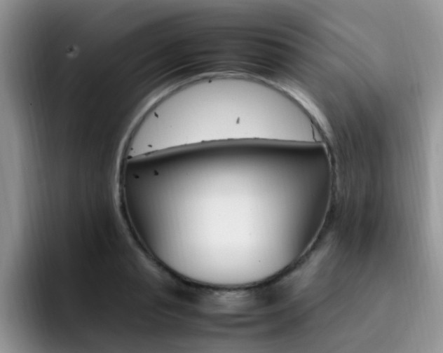 X0000092280845200709140921