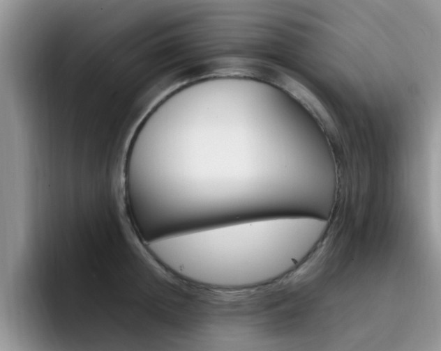 X0000092280852200709140921
