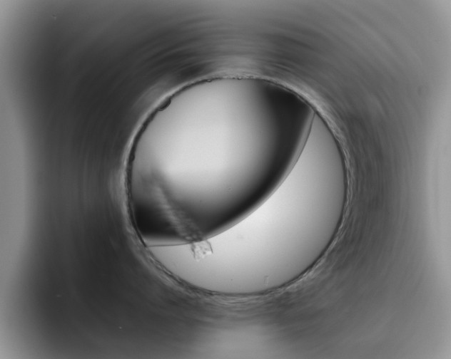 X0000092280864200709140921