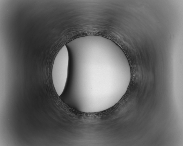 X0000092280866200709140921